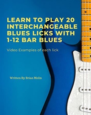 Learn To Play 20 Interchangeable Blues Licks With 1- 12 Bar Blues: Beginner to Intermediate Levels